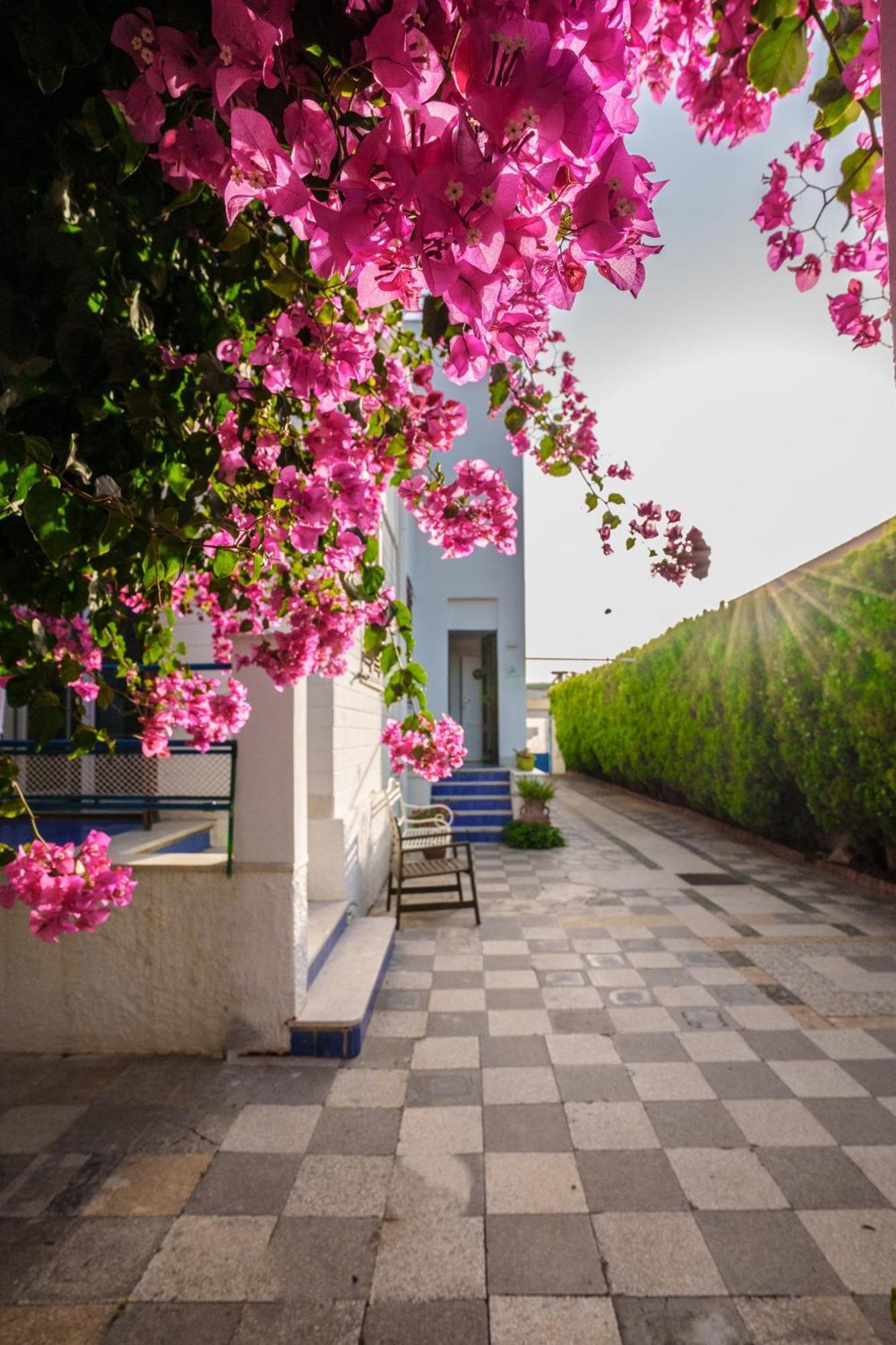 Le Vele Mondello, Villa A Due Passi Dal Mare Exteriör bild